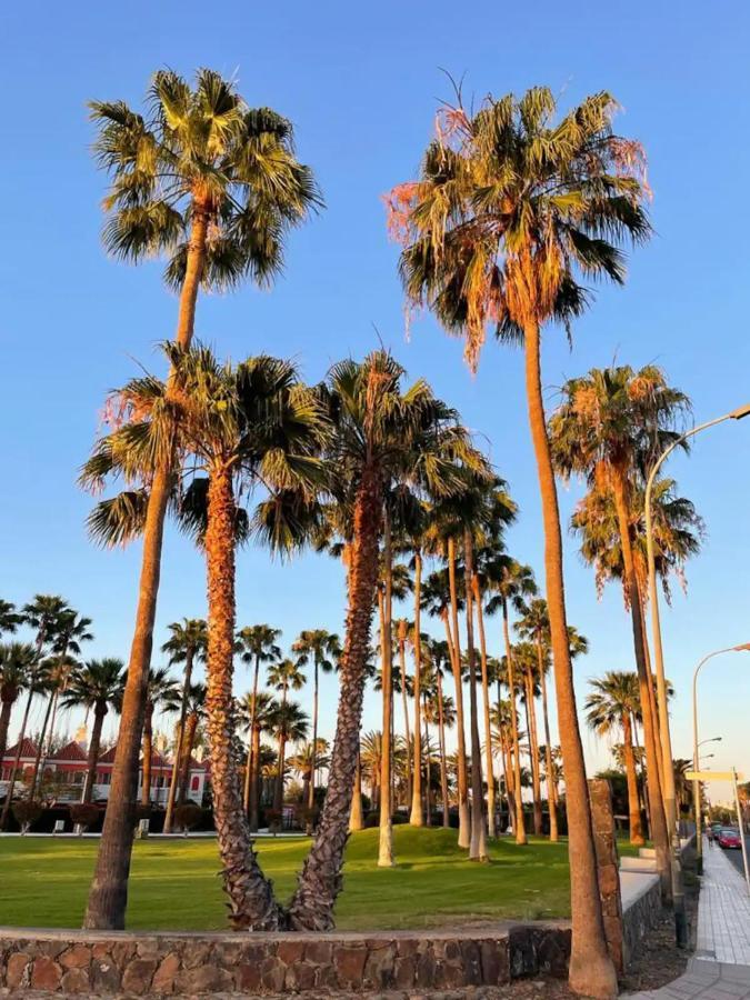 Playa Del Ingles Vitamine D Garantie San Bartolomé Екстериор снимка